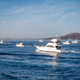 Este fin de semana el espectáculo de la pesca de altura regresa a Lanzarote con la Puerto Calero Marlin Cup