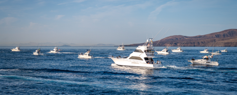 Este fin de semana el espectáculo de la pesca de altura regresa a Lanzarote con la Puerto Calero Marlin Cup